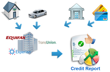 Information Chain